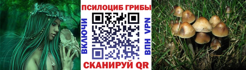 где купить   Таруса  Галлюциногенные грибы мухоморы 